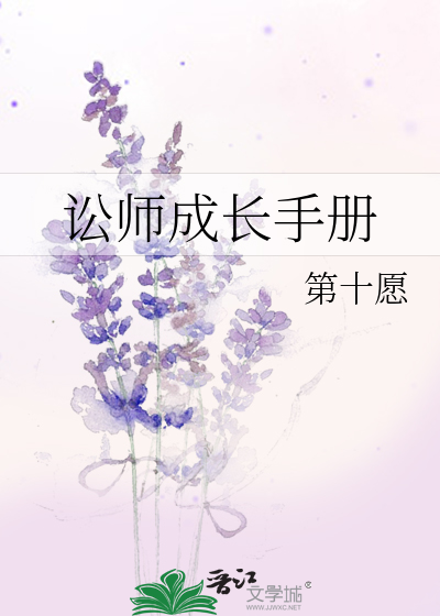 讼师成长手册